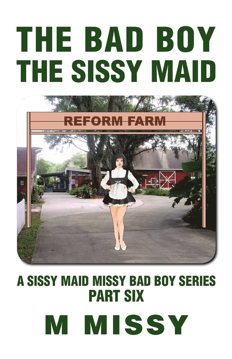 The Bad Boy, the Sissy Maid 1