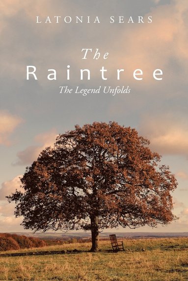 bokomslag Raintree