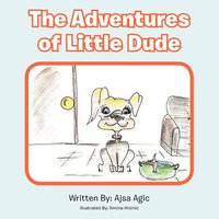 bokomslag The Adventures of Little Dude
