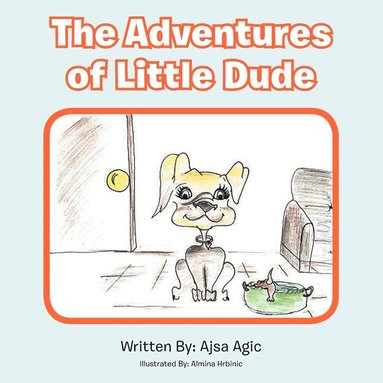 bokomslag Adventures of Little Dude