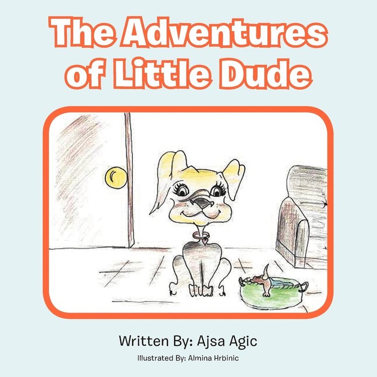 Ajsa Agic - Adventures of Little Dude, Häftad