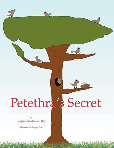 bokomslag Petethra's Secret
