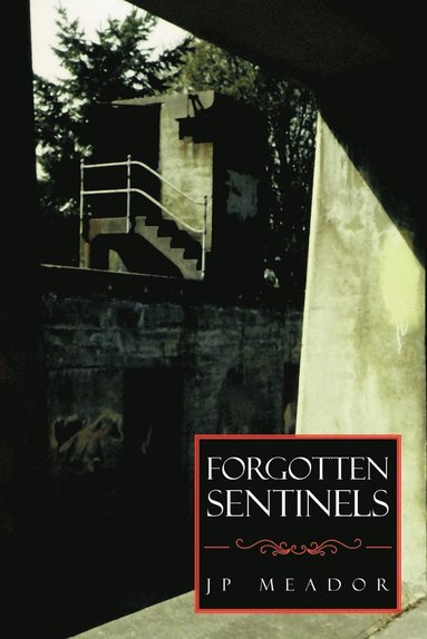 bokomslag Forgotten Sentinels