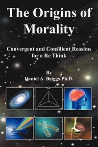 bokomslag The Origins of Morality