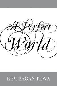 bokomslag A Perfect World