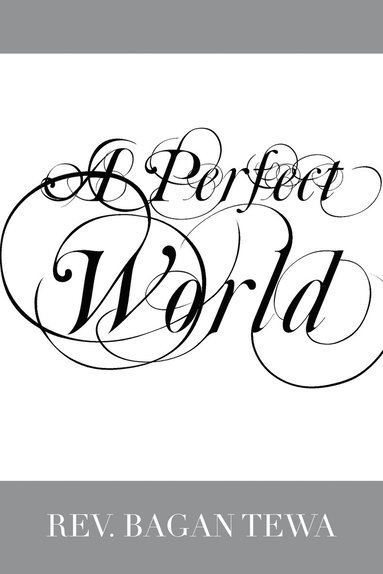 bokomslag A Perfect World