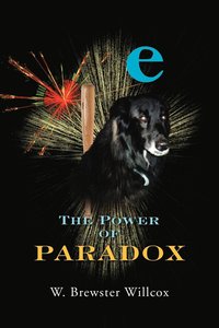 bokomslag The Power of Paradox