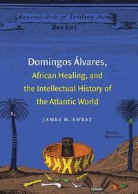 bokomslag Domingos Álvares, African Healing, and the Intellectual History of the Atlantic World