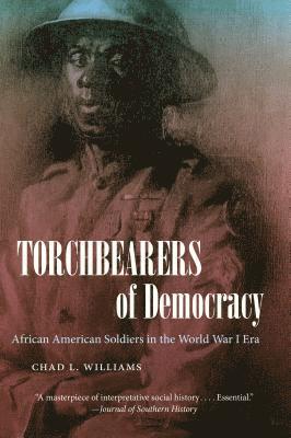 bokomslag Torchbearers of Democracy: African American Soldiers in the World War I Era