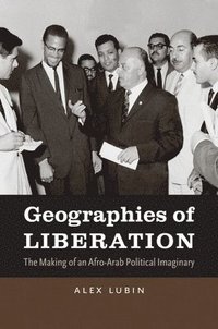 bokomslag Geographies of Liberation
