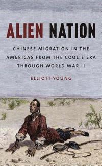 bokomslag Alien Nation: Chinese Migration in the Americas from the Coolie Era Through World War II