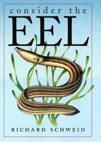 bokomslag Consider the Eel