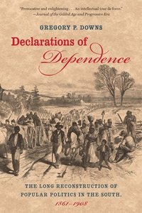 bokomslag Declarations of Dependence: The Long Reconstruction of Popular Politics in the South, 1861-1908