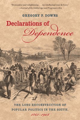 bokomslag Declarations of Dependence: The Long Reconstruction of Popular Politics in the South, 1861-1908