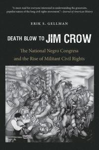 bokomslag Death Blow to Jim Crow