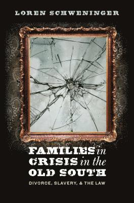 Families in Crisis in the Old South 1