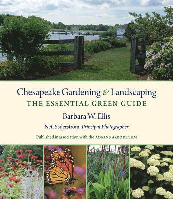 Chesapeake Gardening and Landscaping 1