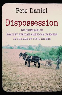 bokomslag Dispossession