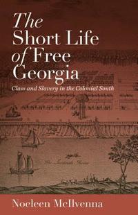 bokomslag The Short Life of Free Georgia: Class and Slavery in the Colonial South