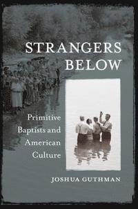 bokomslag Strangers Below: Primitive Baptists and American Culture
