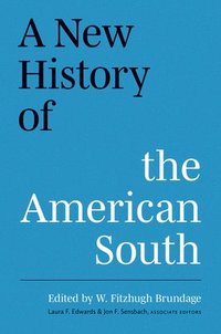 bokomslag A New History of the American South