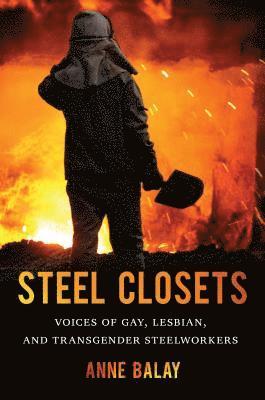 bokomslag Steel Closets