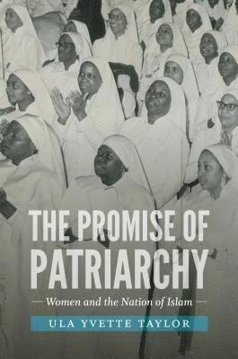 bokomslag The Promise of Patriarchy