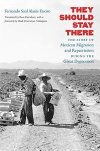 bokomslag They Should Stay There: The Story of Mexican Migration and Repatriation During the Great Depression