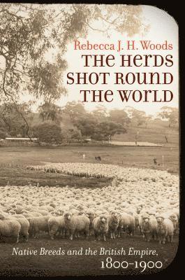 The Herds Shot Round the World 1
