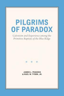 bokomslag Pilgrims of Paradox