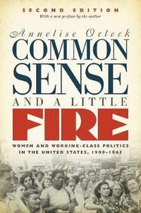 bokomslag Common Sense and a Little Fire, Second Edition