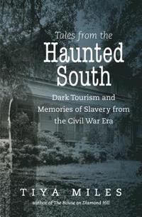bokomslag Tales from the Haunted South