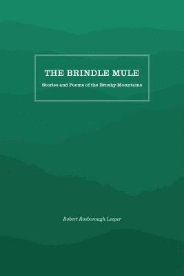 bokomslag The Brindle Mule