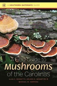 bokomslag A Field Guide to Mushrooms of the Carolinas