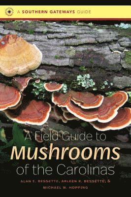 Alan E Bessette, Arleen R Bessette, Michael W Hopping - Bessette, A: Field Guide to Mushrooms of the Carolinas, Häftad