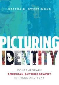 bokomslag Picturing Identity