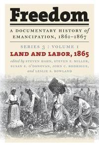 bokomslag Freedom: A Documentary History of Emancipation, 1861-1867