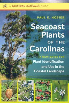 Seacoast Plants of the Carolinas 1