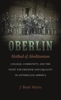 bokomslag Oberlin, Hotbed of Abolitionism: College, Community, and the Fight for Freedom and Equality in Antebellum America