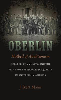 bokomslag Oberlin, Hotbed of Abolitionism: College, Community, and the Fight for Freedom and Equality in Antebellum America