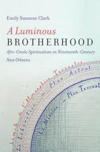 bokomslag A Luminous Brotherhood