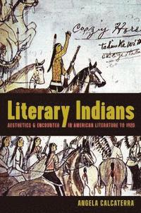 bokomslag Literary Indians: Aesthetics and Encounter in American Literature to 1920