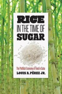 bokomslag Rice in the Time of Sugar