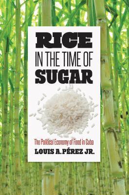 Rice in the Time of Sugar 1