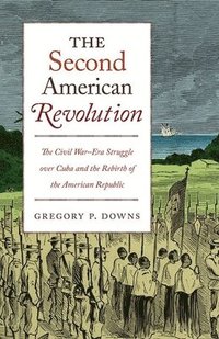 bokomslag The Second American Revolution