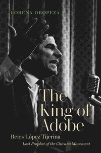 bokomslag The King of Adobe