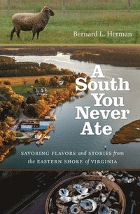 bokomslag A South You Never Ate