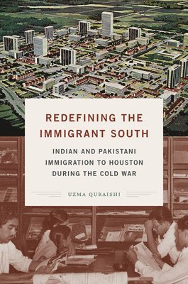 Redefining the Immigrant South