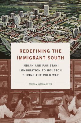 Redefining the Immigrant South