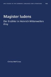 bokomslag Magister Ludens